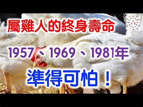 1981年五行屬什麼|81年屬雞是什麼命？